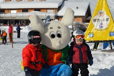 Gruppenunterricht Ski Piccolo / Einsteiger